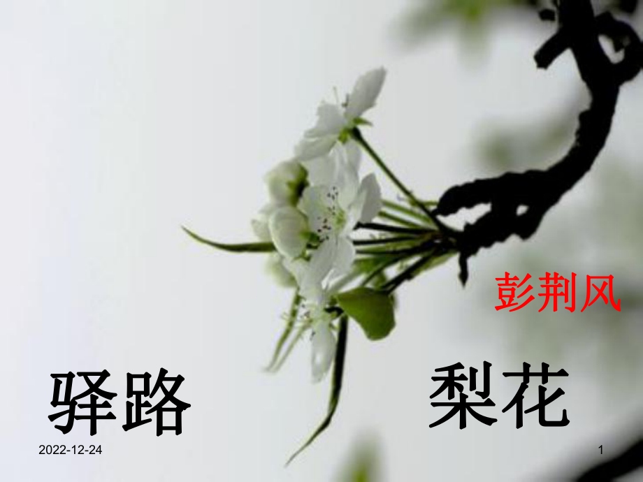 驿路梨花知识点课件.ppt_第1页