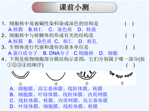 人教版教学课件物质跨膜运输的实例(学案式).ppt