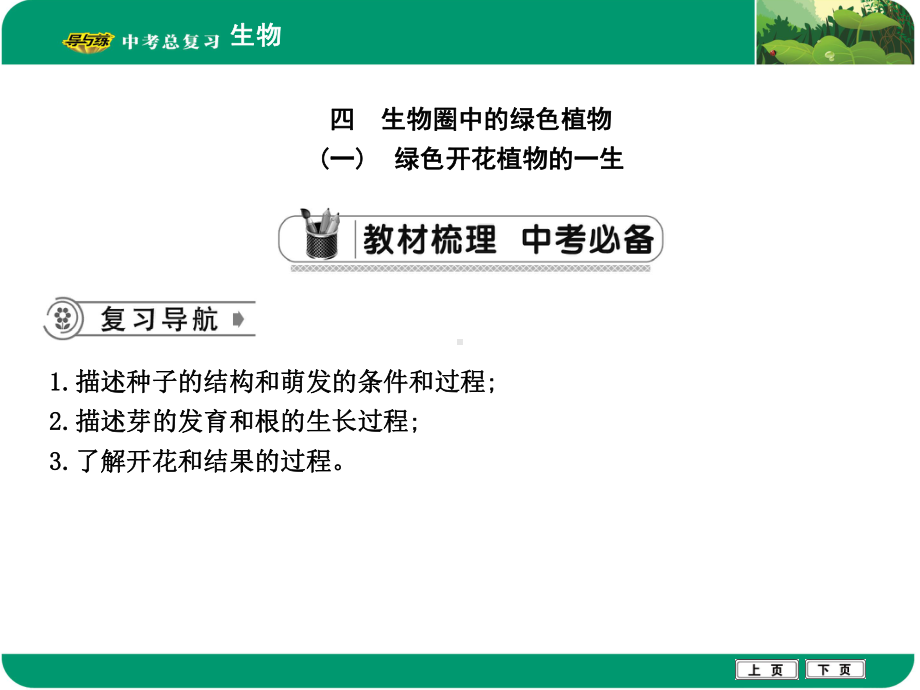 绿色植物的一生课件.ppt_第1页