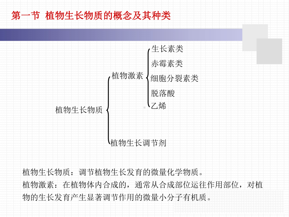 生长素的分布与运输生长素类课件.ppt_第3页