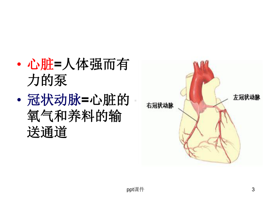 冠心病健康教育课件-002.ppt_第3页