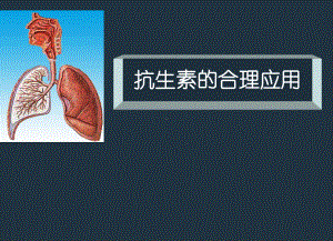 抗生素合理应用-医学课件.ppt