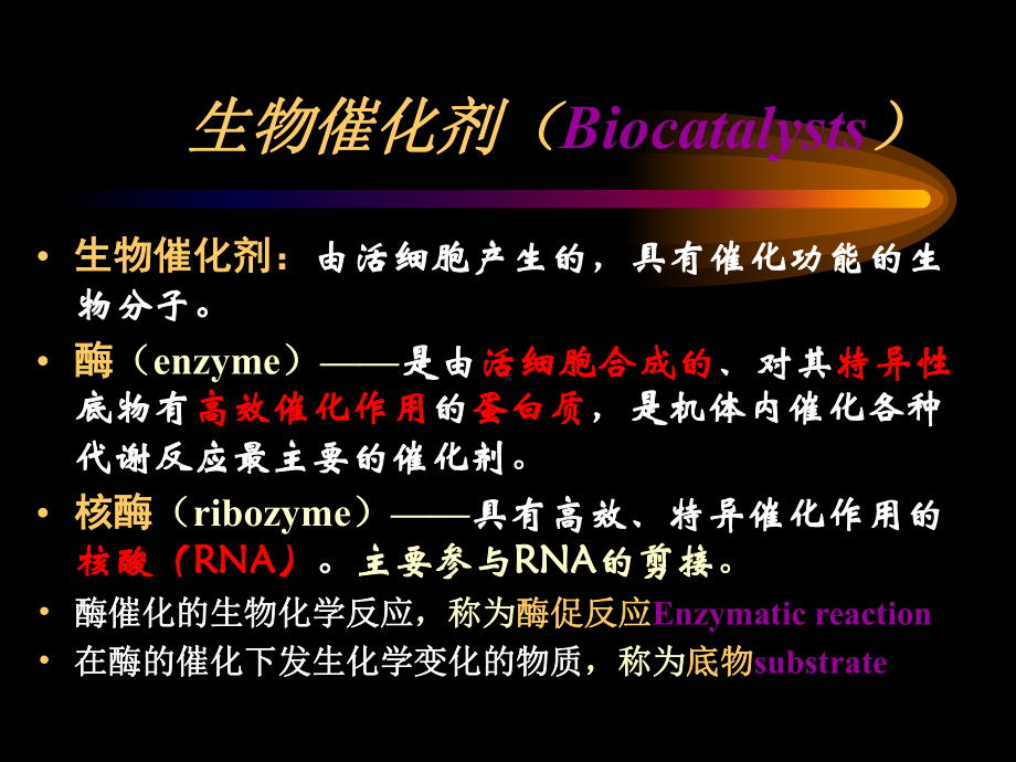 催化底物分子进行水解反应的酶类课件.ppt_第2页