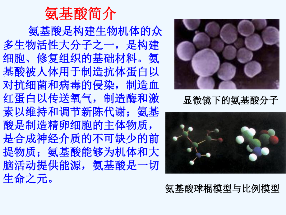 高三化学选修5知识点复习课件(14).ppt_第3页