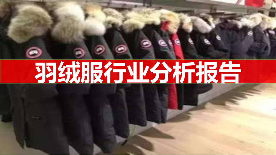 羽绒服行业最新市场分析报告XU课件.pptx_第1页