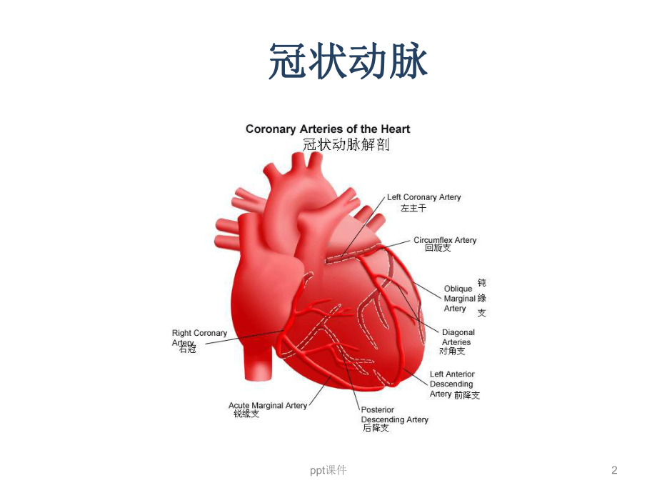 冠心病的常规护理课件.ppt_第2页