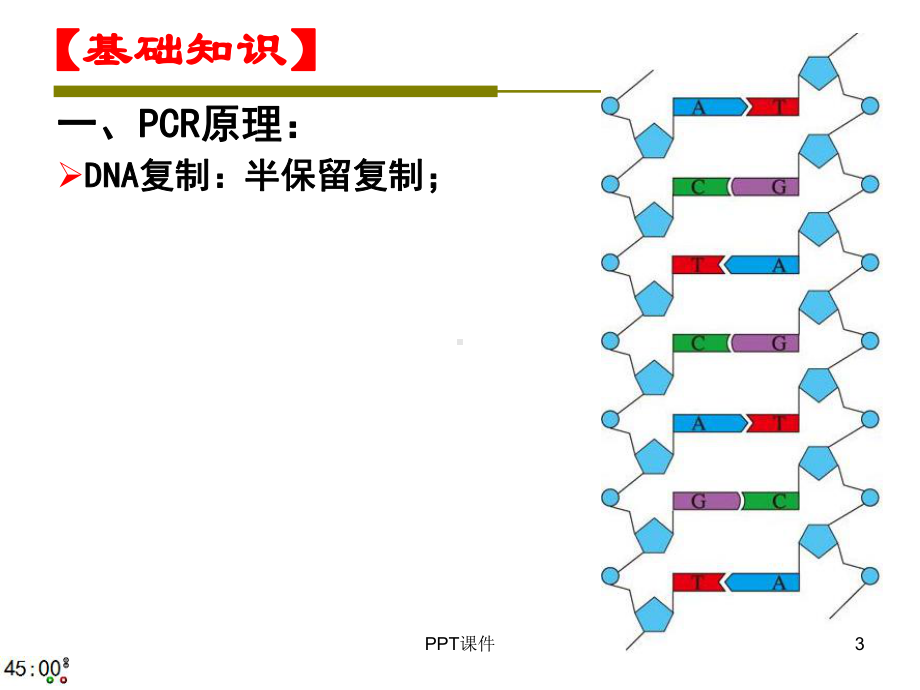 专题复习-PCR技术课件.ppt_第3页