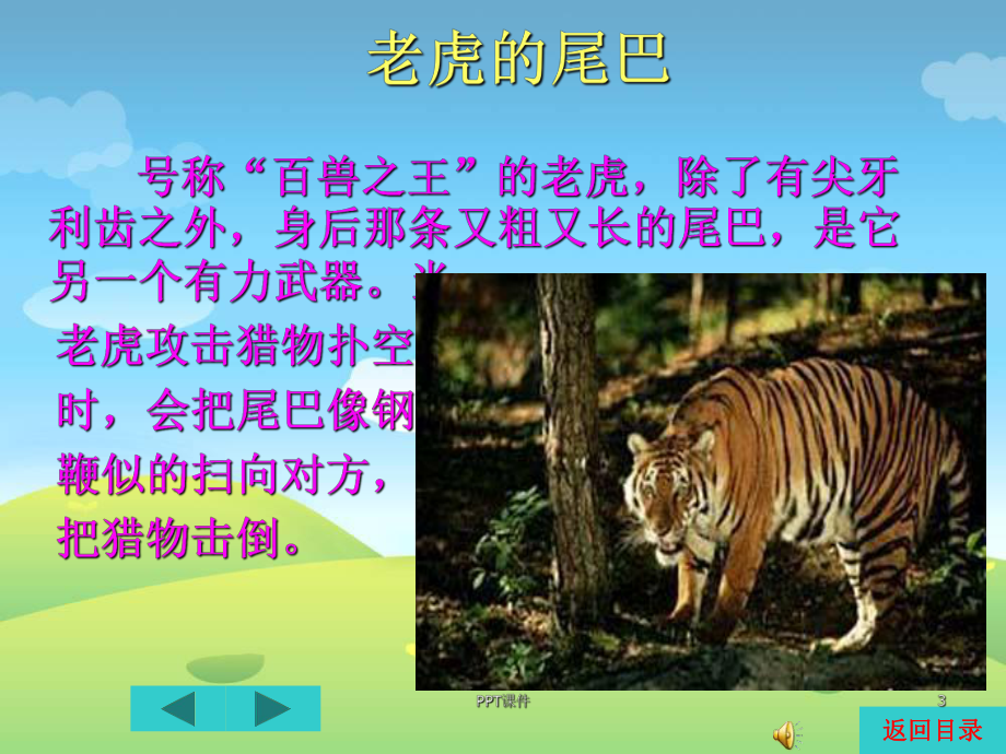 动物的尾巴课件.ppt_第3页