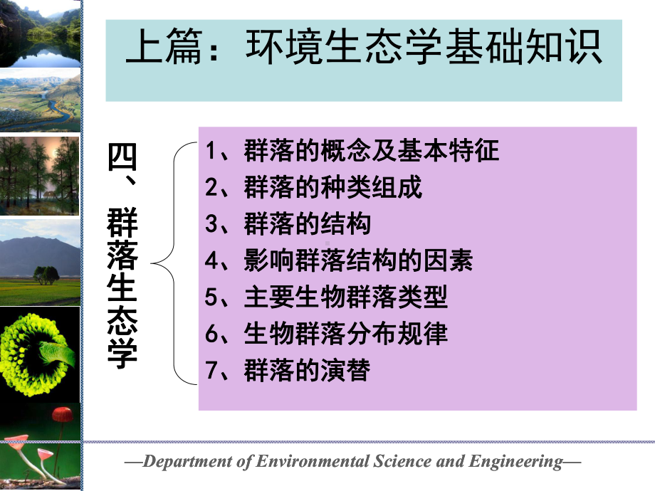 群落生态学课件.ppt_第2页