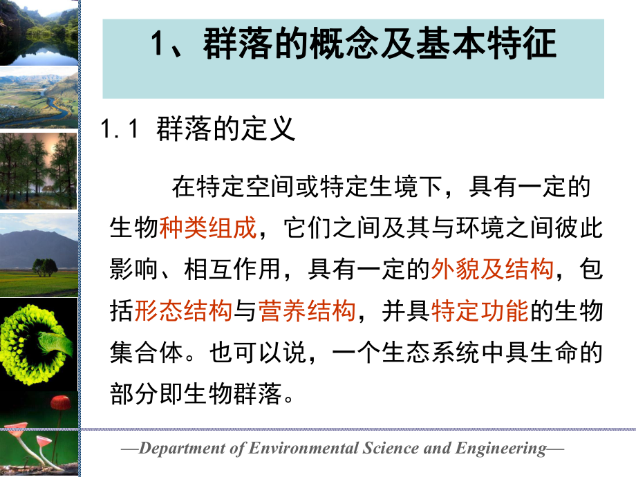 群落生态学课件.ppt_第3页