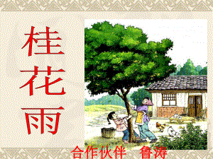 桂花雨-公开课(完美版)课件.ppt