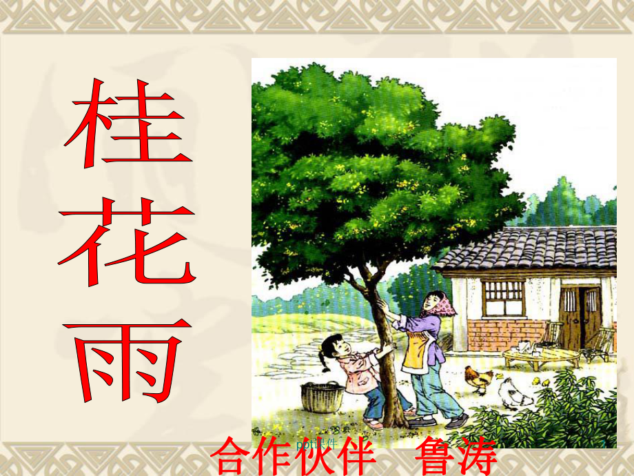 桂花雨-公开课(完美版)课件.ppt_第1页