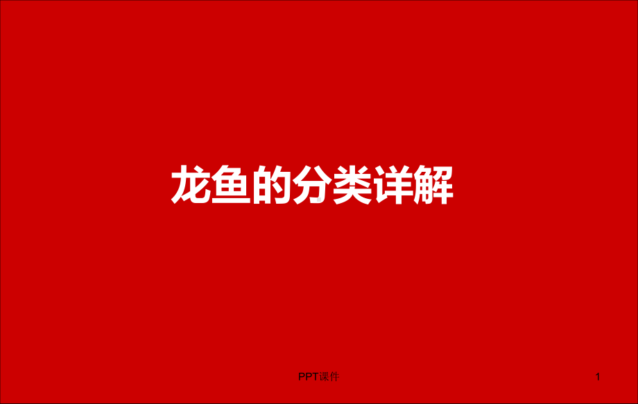 龙鱼分类详解课件.ppt_第1页