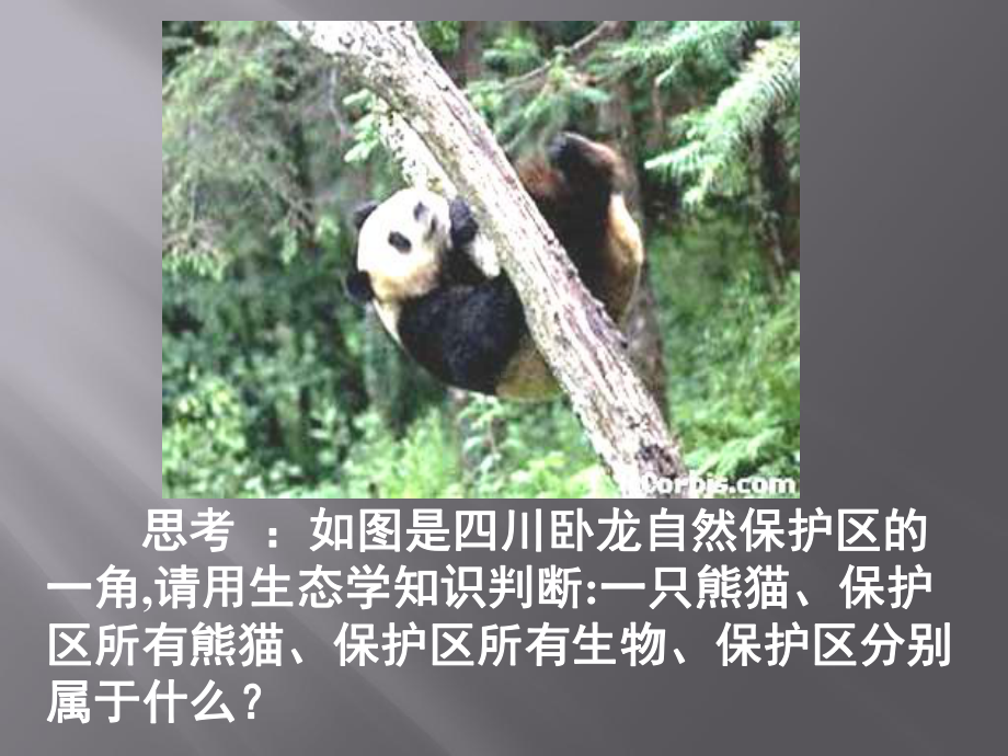 高中生物人教版必修三第五章第一节生态系统的结构课件.ppt_第3页