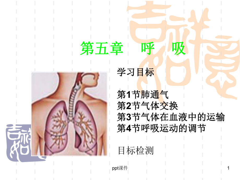 生理学-第五章-呼吸课件.ppt_第1页