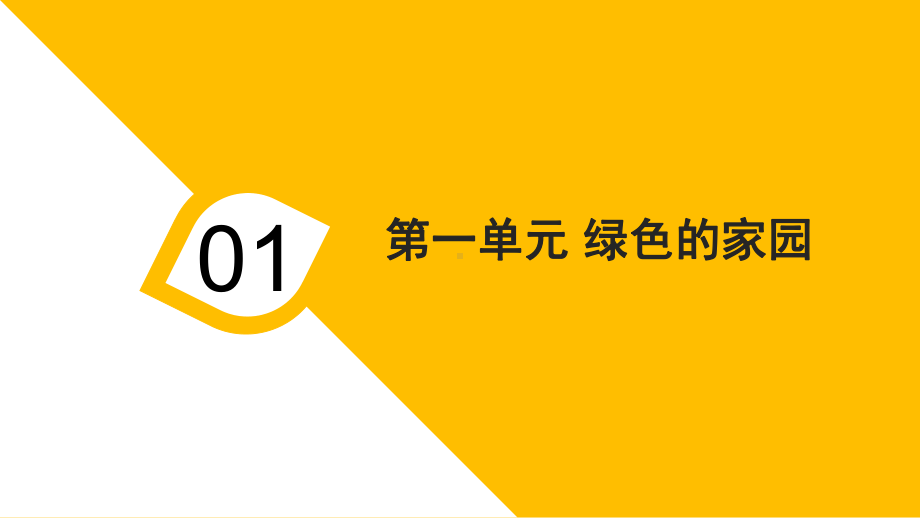 八年级音乐下册(沪教版)课件.pptx（纯ppt,无音视频）_第3页