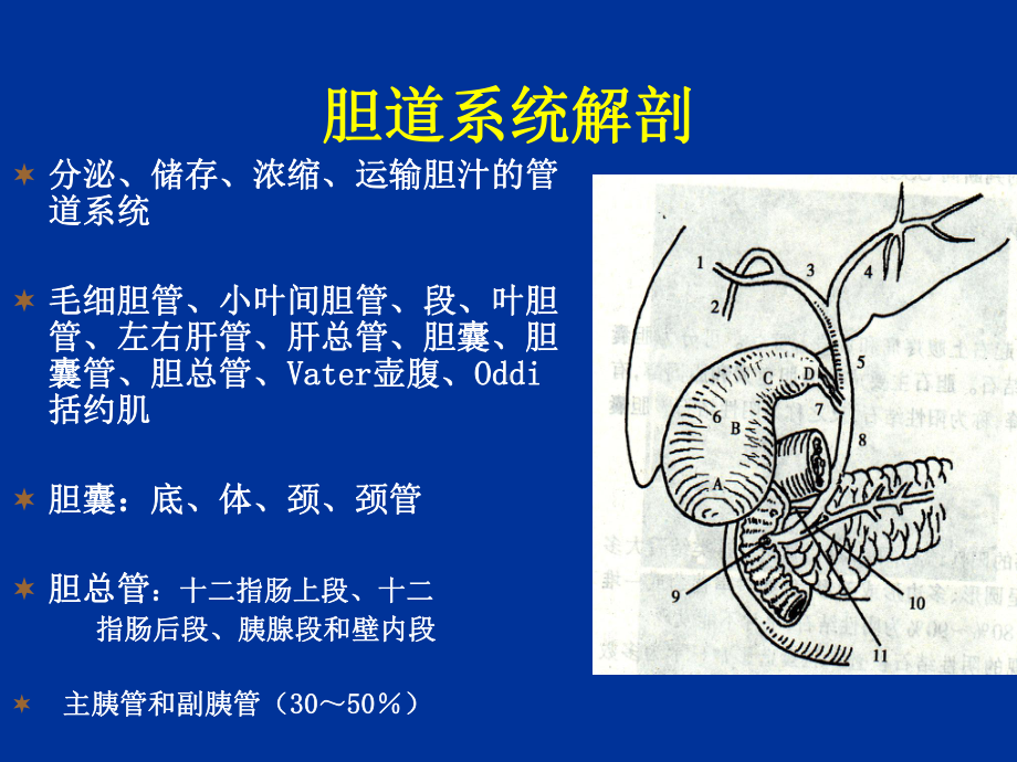 胆道病变的影像学诊断课件.ppt_第2页