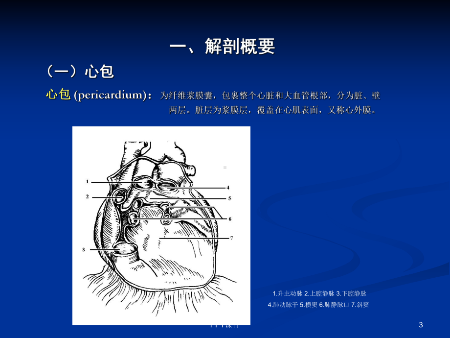 心脏彩超操作课件.ppt_第3页