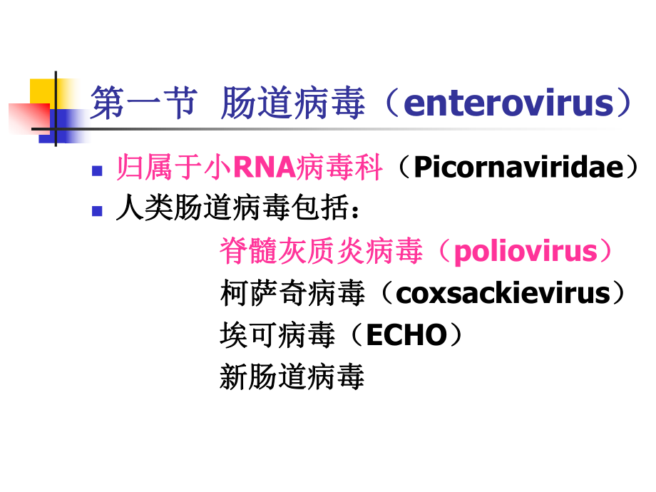 第26章-肠道感染病毒课件.ppt_第3页