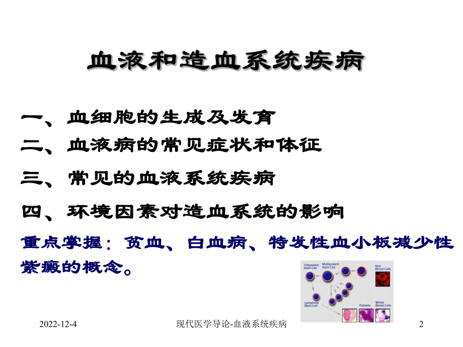 现代医学导论(血液系统)课件.ppt_第2页