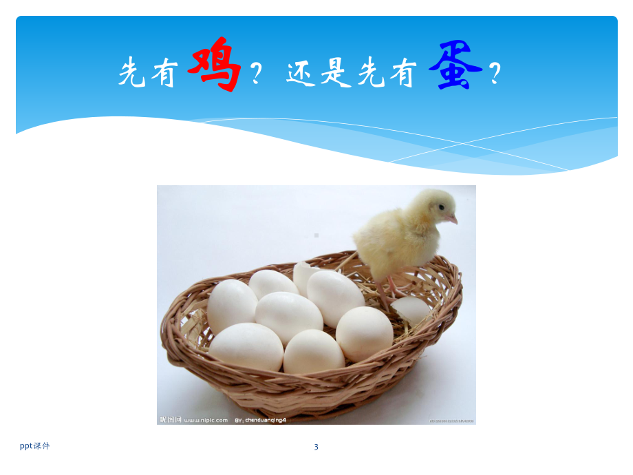 禽的生产与经营课件.ppt_第3页