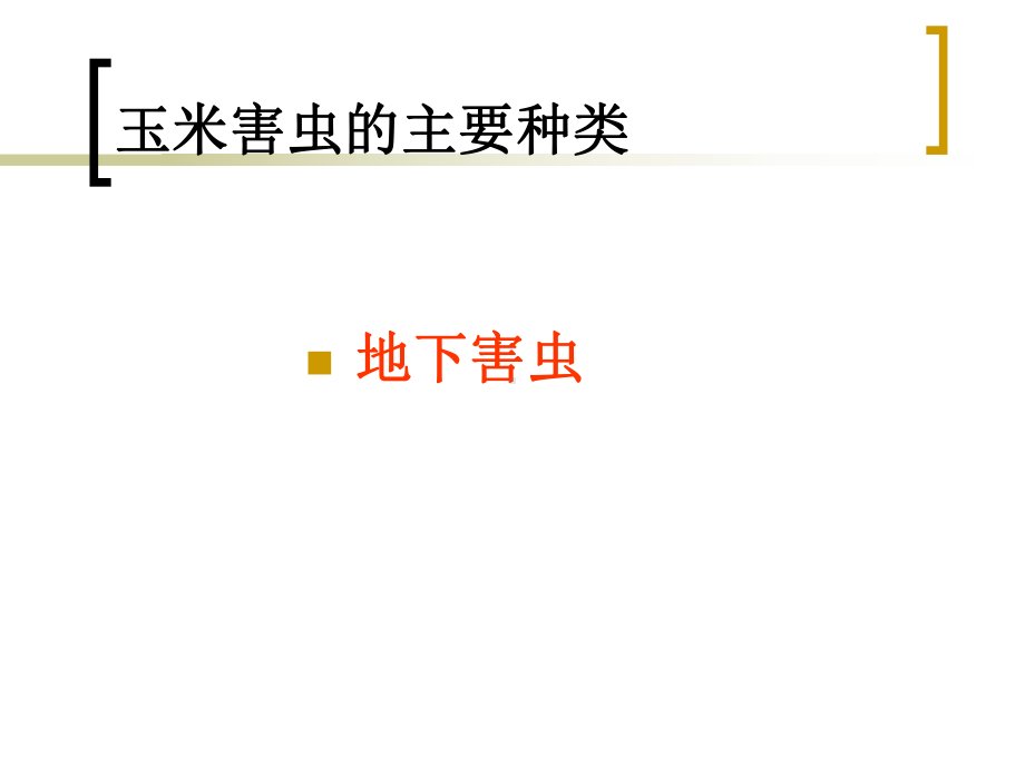 玉米主要虫害的识别与防治课件.ppt_第3页