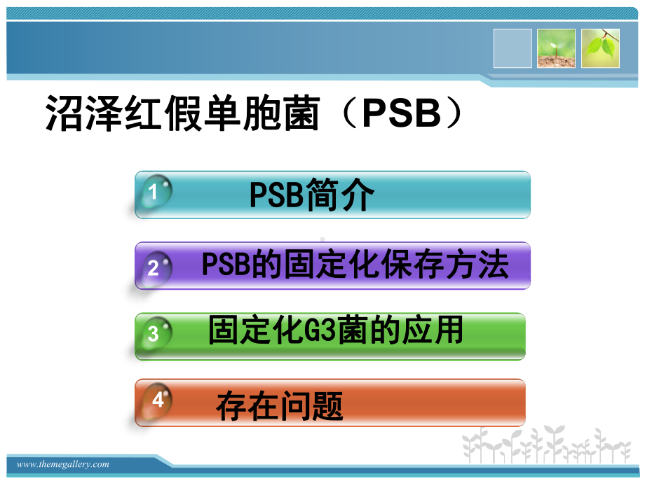 并探讨光合细菌在水产养殖中的作用方式课件.ppt_第2页