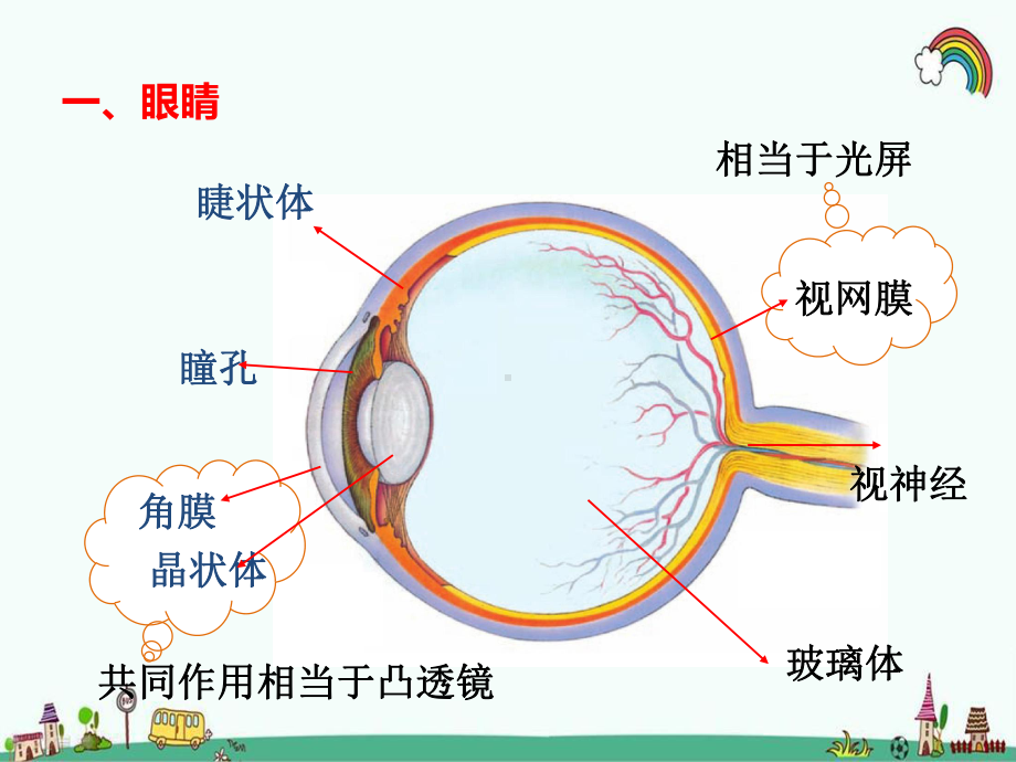 科教版八年级物理上册《46神奇的眼睛》课件.pptx_第2页