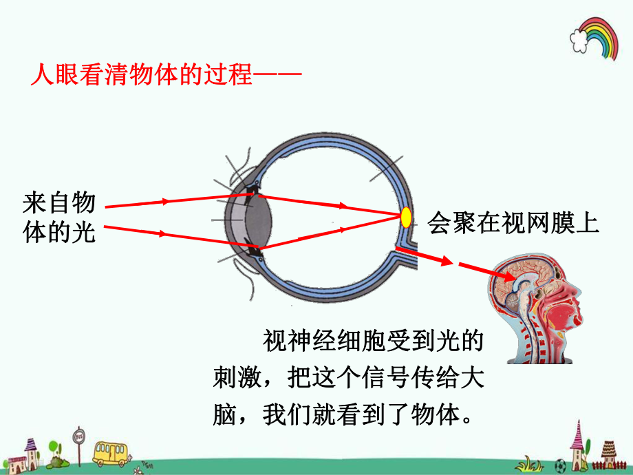 科教版八年级物理上册《46神奇的眼睛》课件.pptx_第3页