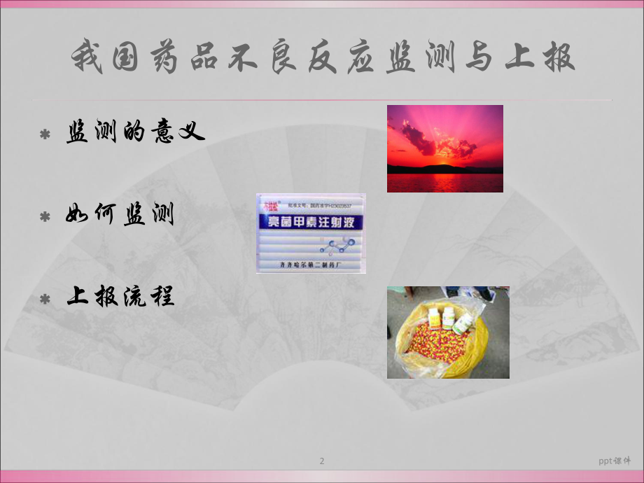 药品不良反应培训课件课件.ppt_第2页