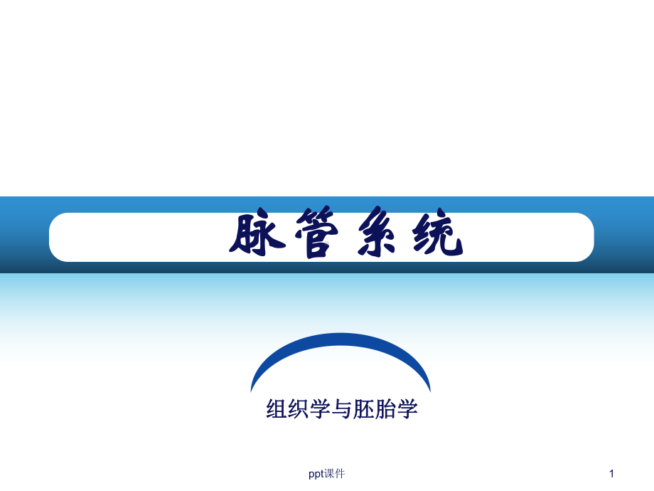 脉管系统课件.ppt_第1页