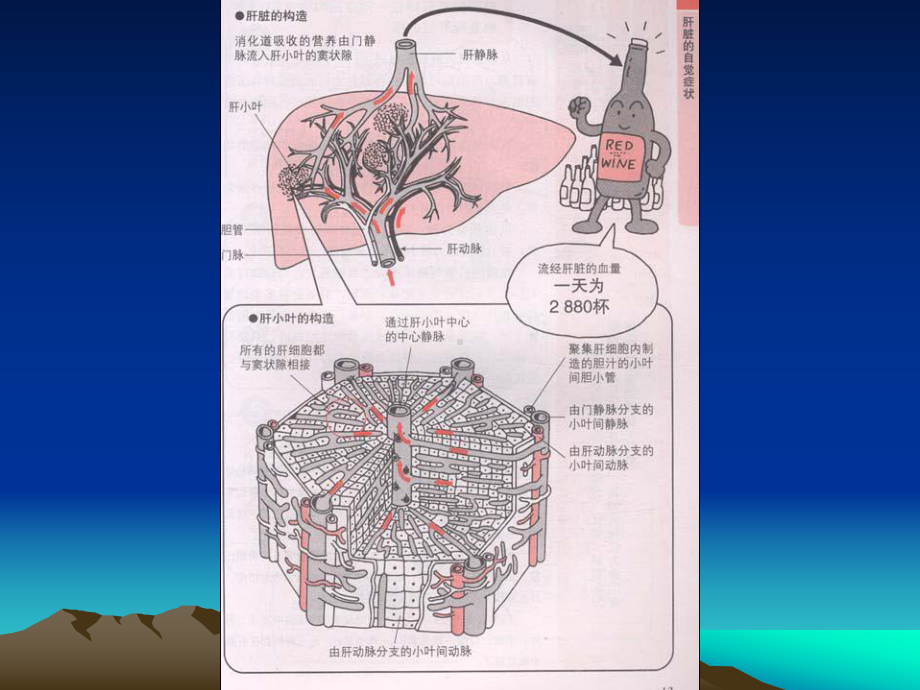 最新肝衰竭的护理课件.pptx_第3页