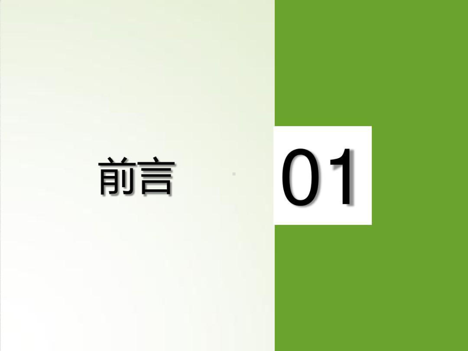 民宿现状与发展知识培训-民宿发展现状课件.ppt_第3页