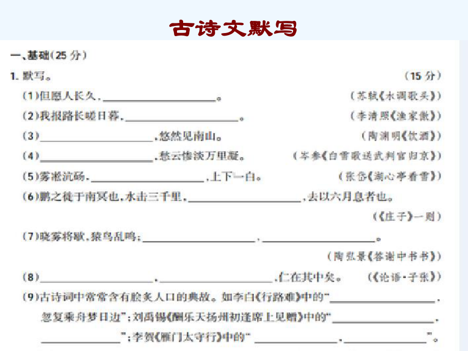 积累与运用夺分攻略课件.pptx_第2页