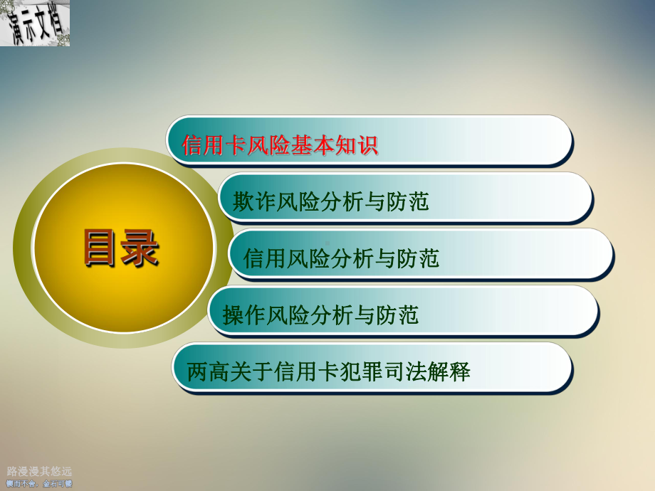 信用卡风险及防范培训教材课件.ppt_第3页