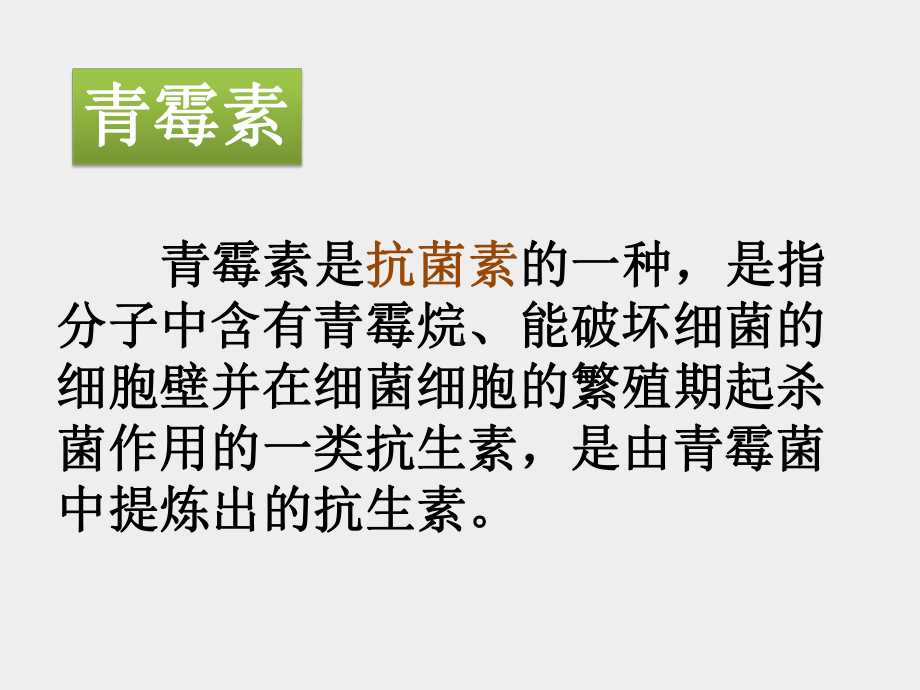 北师大版高中一年级(高一)语文选修：现代传记选读课件：“她只能活七小时”-课件1.ppt_第2页