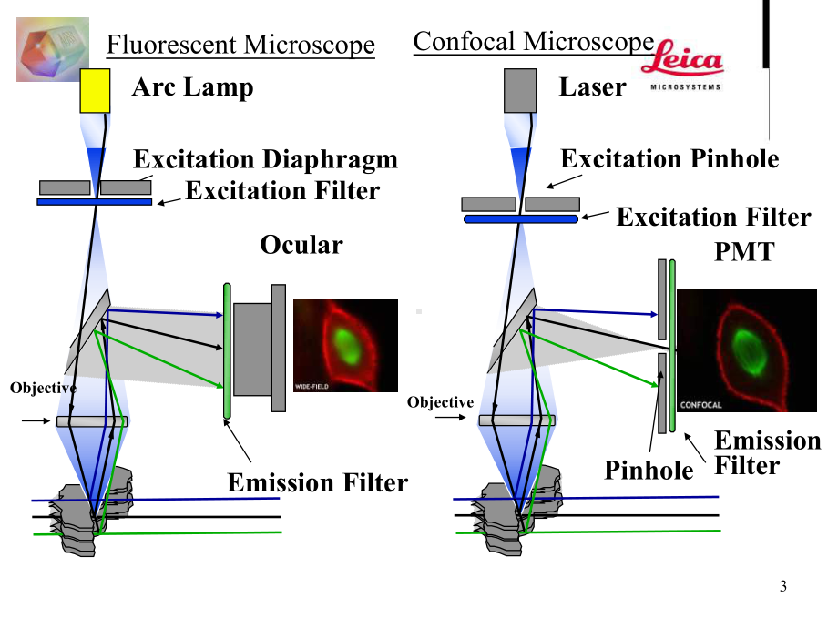 激光扫描共聚焦显微镜课件.ppt_第3页