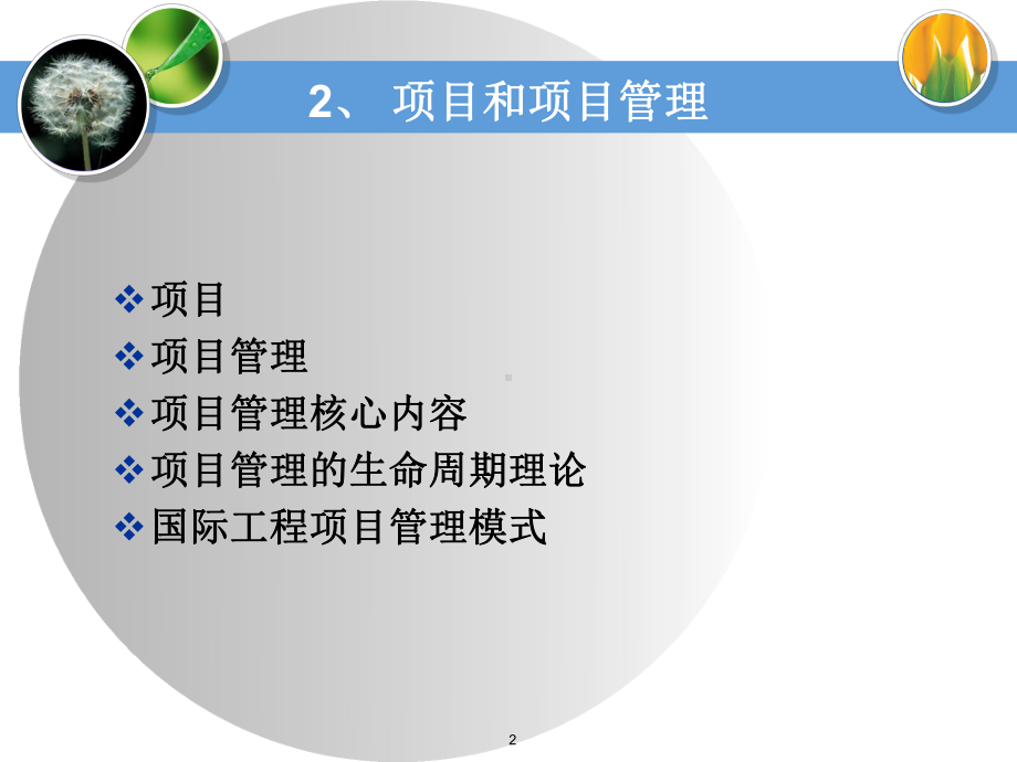 项目和项目管理课件.ppt_第2页