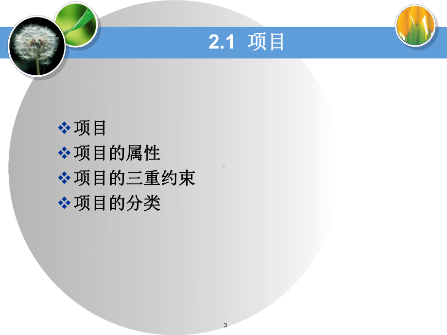 项目和项目管理课件.ppt_第3页