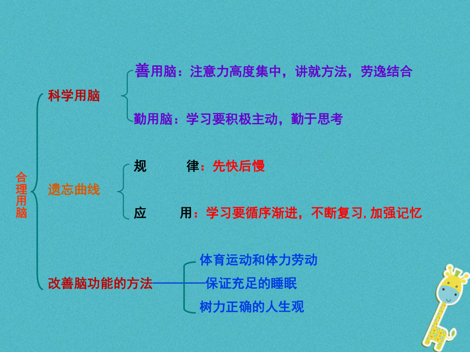 七年级生物下册第2单元第4章第4节合理用脑课件(新版)冀教版.ppt_第2页