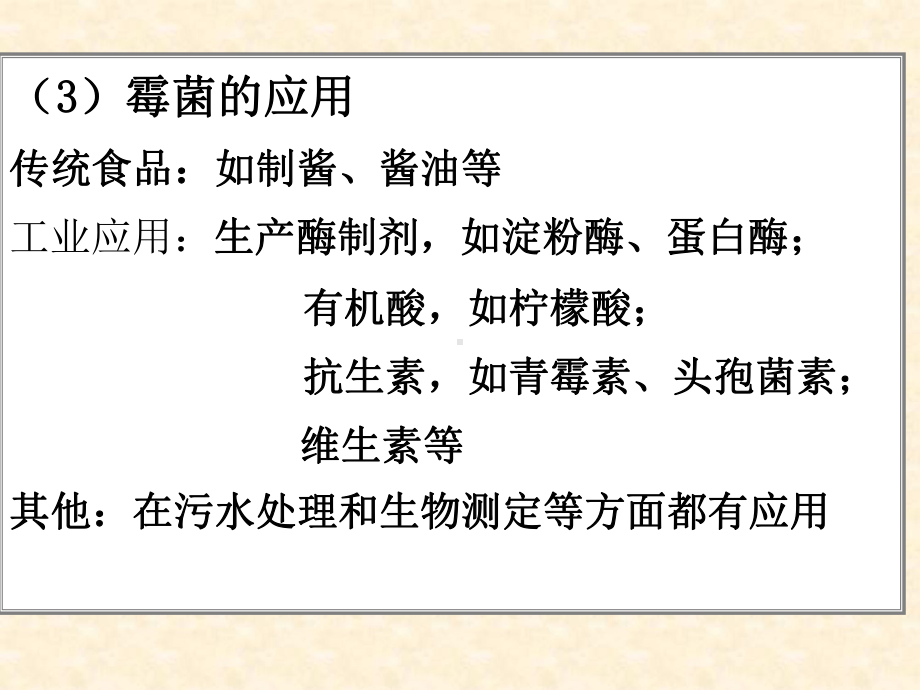 霉菌演示教学课件.ppt_第3页