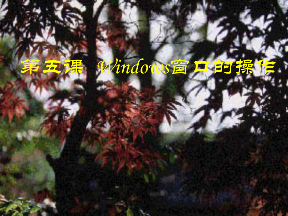 第五课Windows窗口的操作课件.ppt_第1页