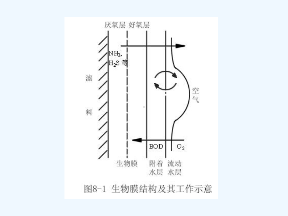 当代水处理技术44+生物流化床技术课件.ppt_第3页