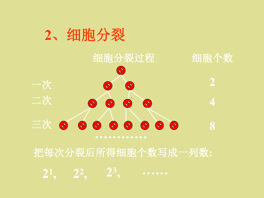 苏教版高中数学必修5：数列课件.ppt_第3页