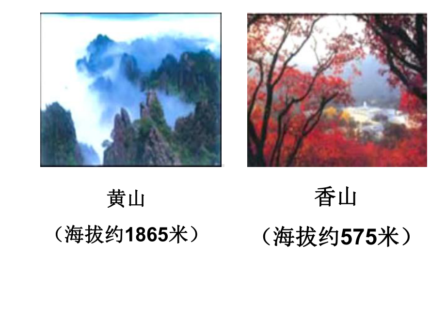 北师大版数学二年级下册《比一比》课件版-1.ppt_第3页