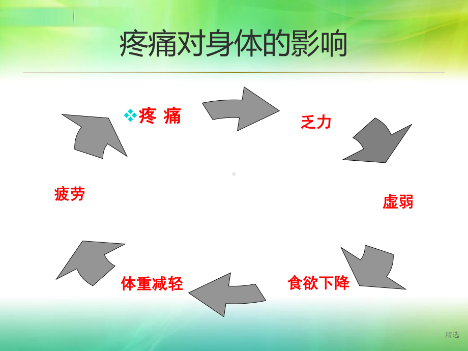 疼痛健康教育课件.ppt_第3页