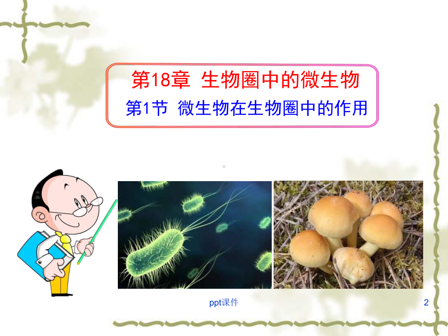 微生物在生物圈中的作用》课件.ppt_第2页