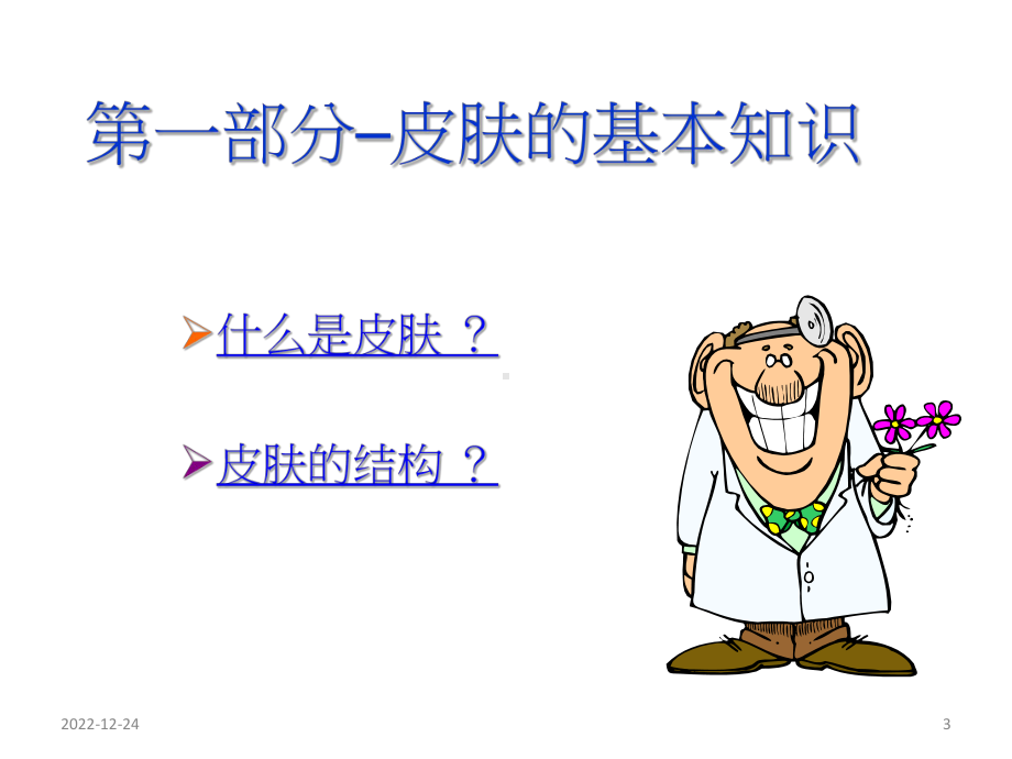 美容护肤基础知识参考教学课件.ppt_第3页