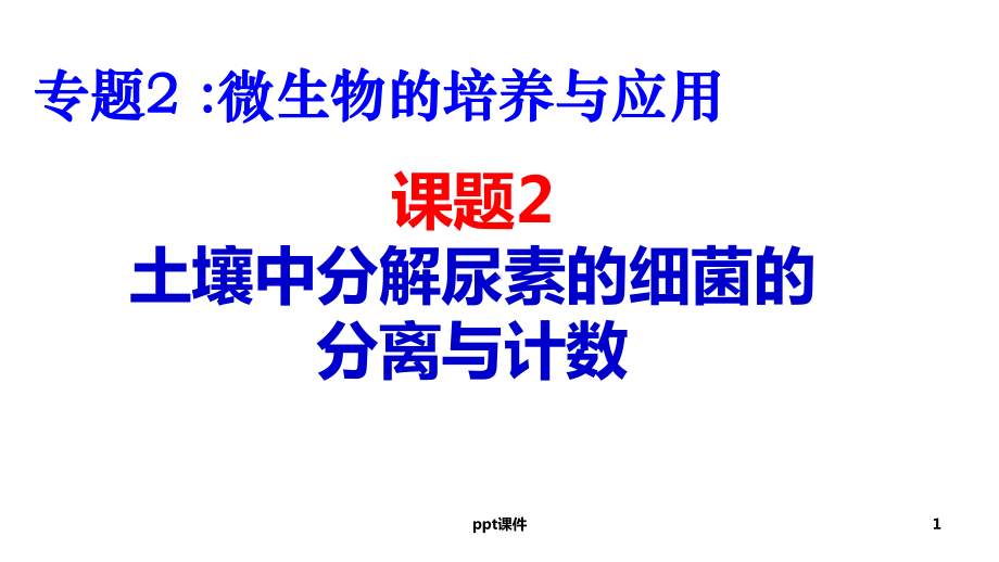 土壤中分解尿素的细菌的分离与计数(公开课)课件.ppt_第1页