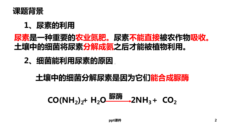 土壤中分解尿素的细菌的分离与计数(公开课)课件.ppt_第2页